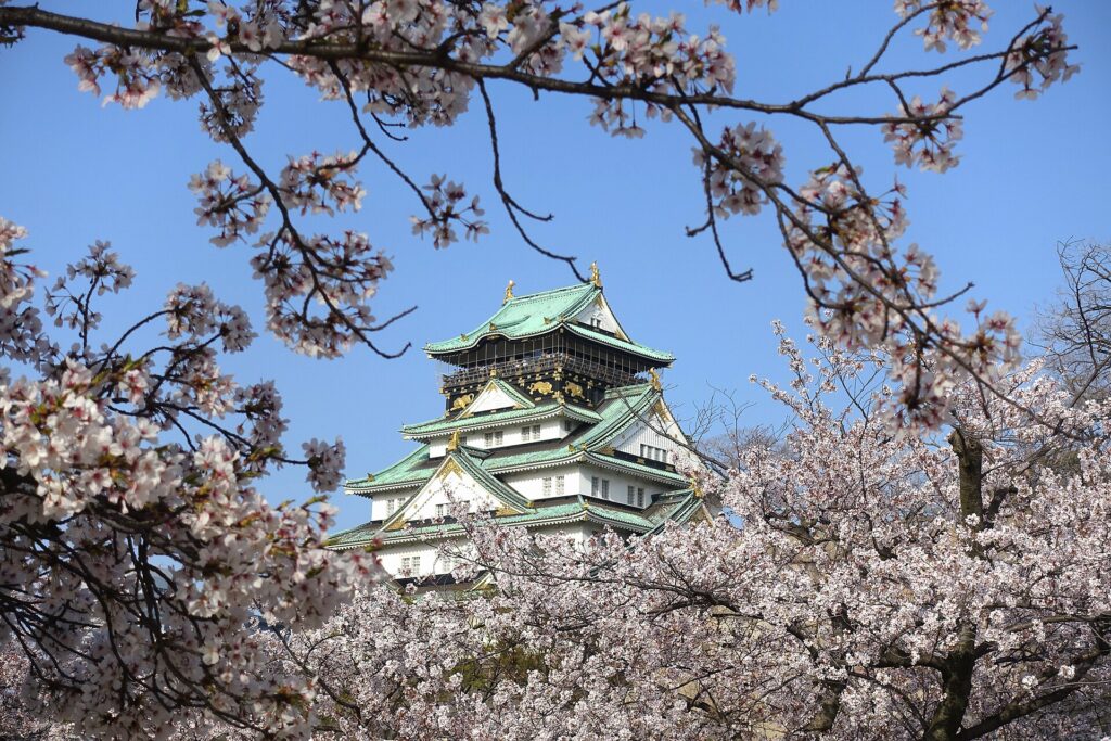 Osaka Castle with cherry blossoms